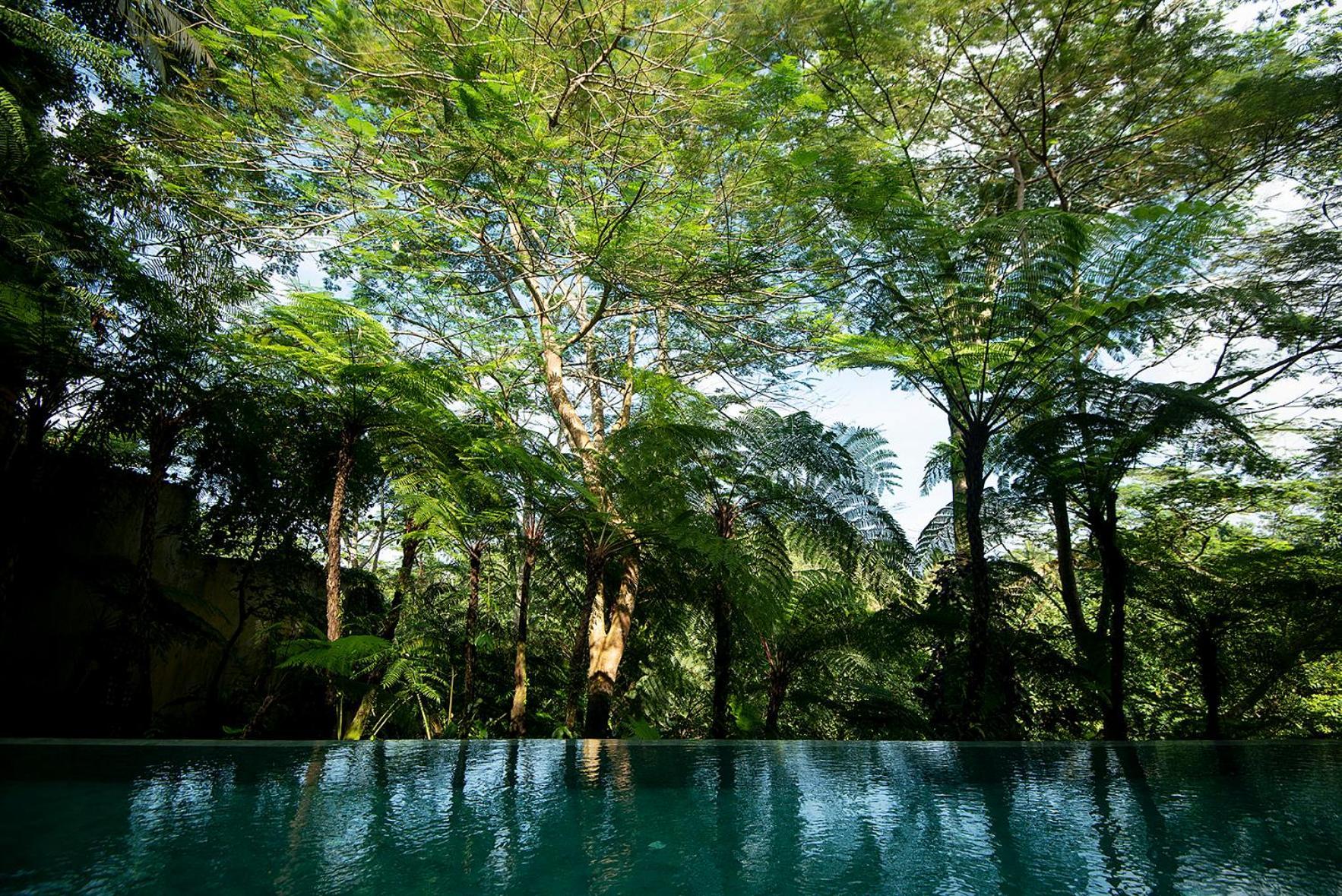 Villa Naga Putih ウブド エクステリア 写真